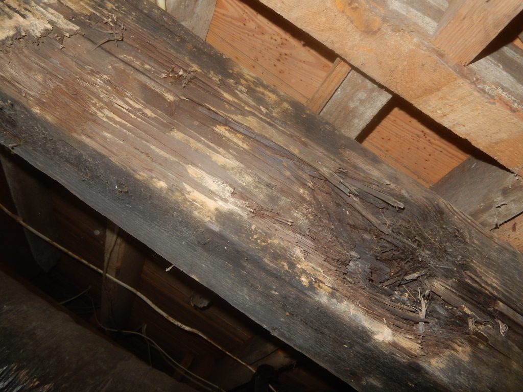 Rotten Support Beam Home Inspector Chattanooga